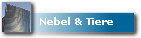 Nebel & Tiere